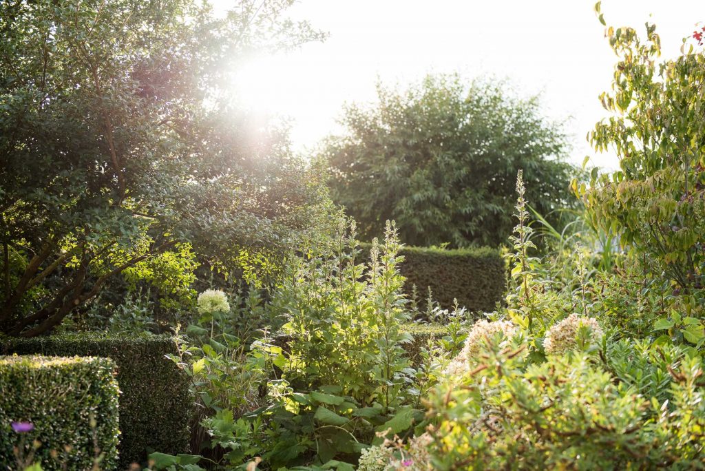Surrey countryside garden with sunshine 