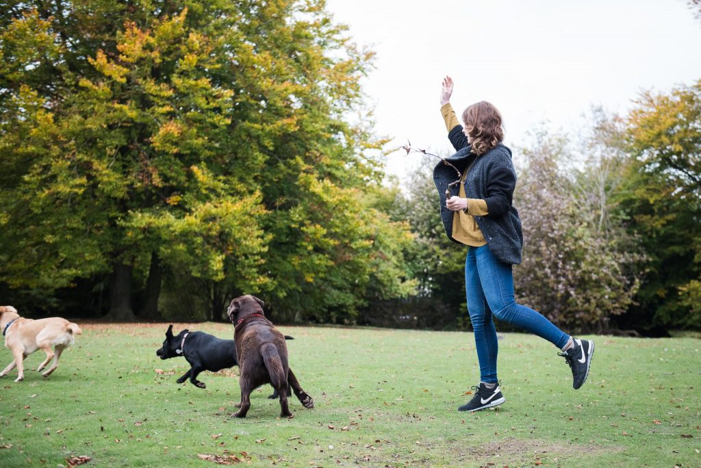 Surrey Family Photography, Lovely Family Walk Woman Throws A Stick For Her Dogs