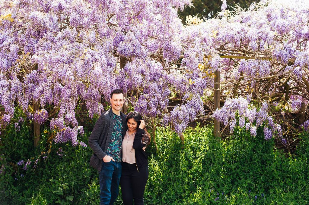 Forty Hall Engagement Shoot - couple stand in front of gorgeous Wisteria flowers