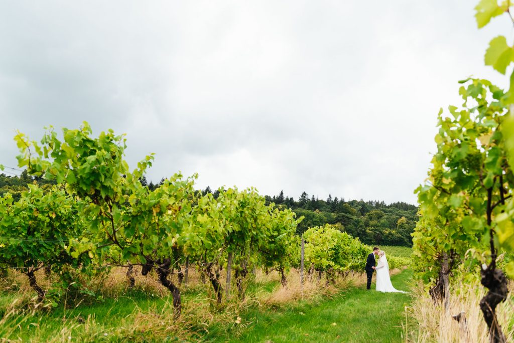 Wedding couple portraits amongst the vineyards