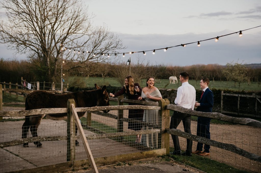 Outdoor Barn Wedding Venue With Barn Yard Animals
