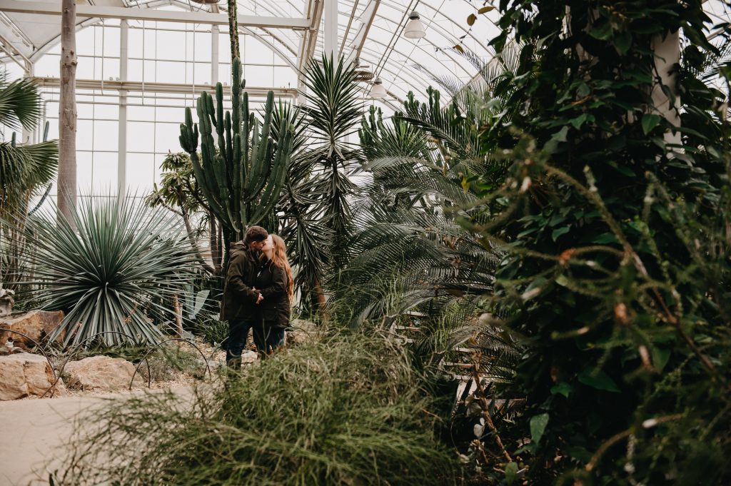 Wisley Gardens Engagement Shoot - Couples Portraits in Glasshouse