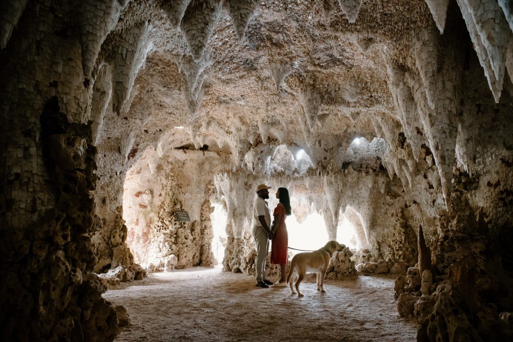 Grotto Portrait with Couple and Their Dog, Painshill Park Engagement