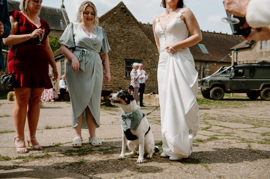 Bride and Her Dog - Oxenford Farm Barn Wedding 
