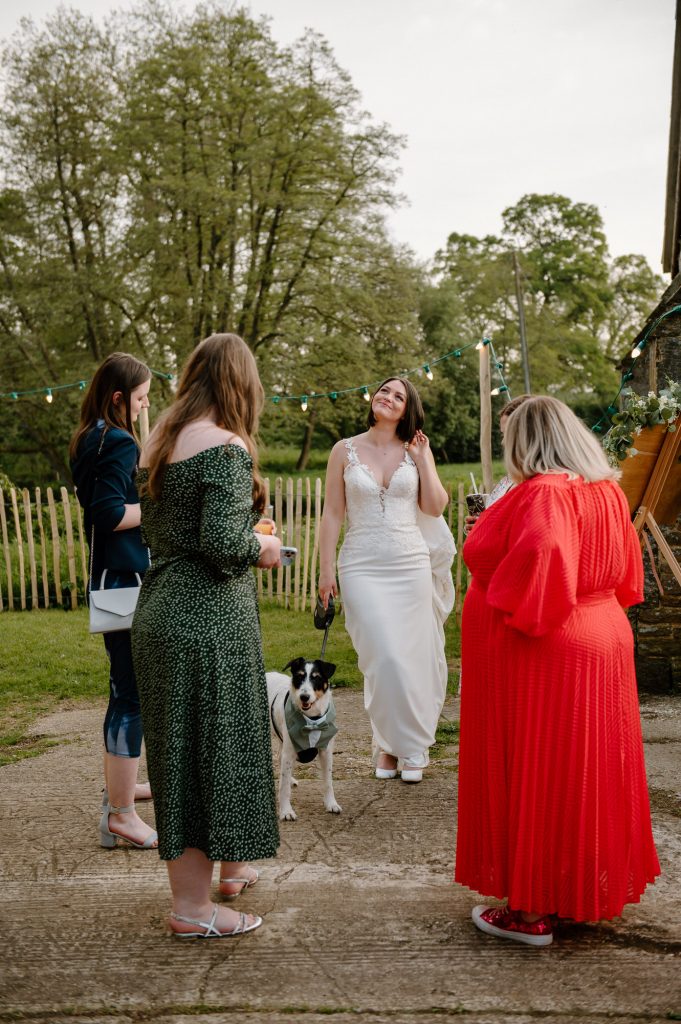 Bride and Her Dog - Oxenford Farm Barn Wedding 